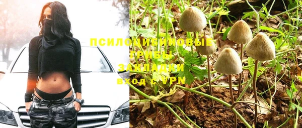 первитин Россошь