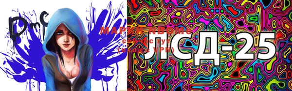 СК Рославль